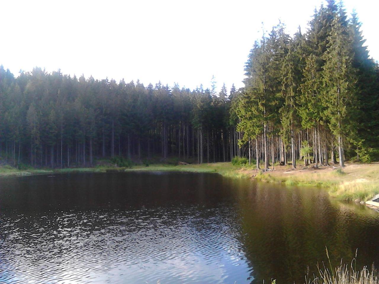 Apartment Jiretinska Chaloupka Jiretin pod Jedlovou